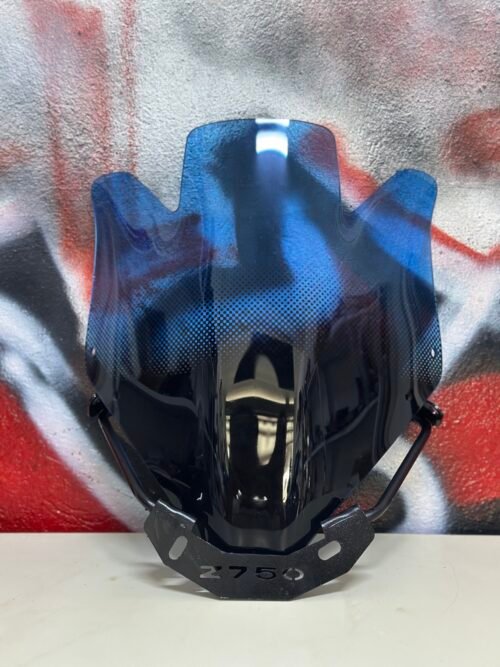 IMG_6288 Visiére KAWASAKI Z750 + Support - Bleu