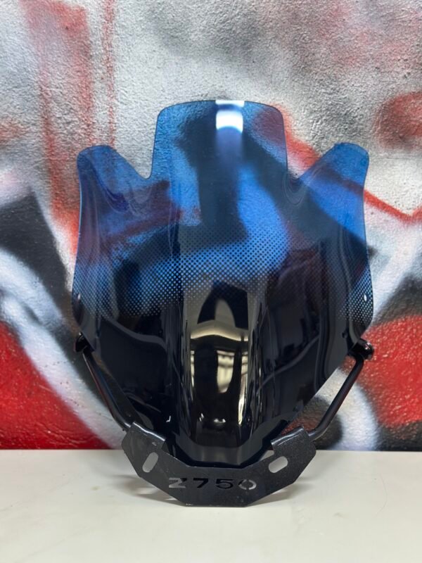 IMG_6288 Visiére KAWASAKI Z750 + Support - Bleu